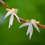 Bambus Ohrstecker, vergoldete und mattierte Bambus-Blätter | 925 Silber Ohrringe brand: Lotus Fun