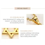 Davidstern in Gold oder Silber! Halskette für Damen und Herren, Jüdischer Schmuck | 925 Silber Anhänger brand: Kaletine